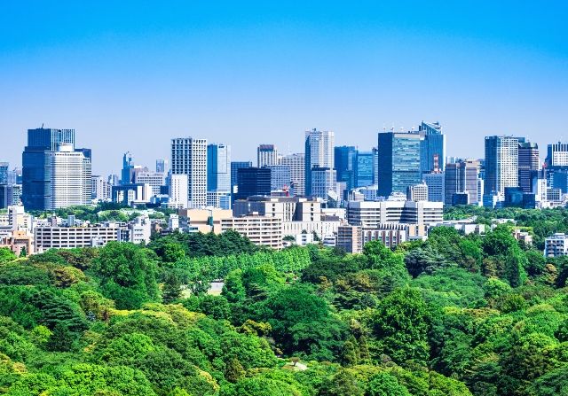 東京観光　おすすめスポット　女子旅　新宿御苑　晴天