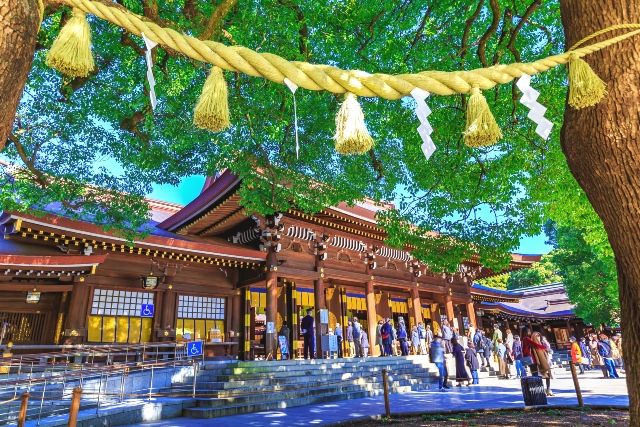 東京観光　おすすめスポット　女子旅　明治神宮　夫婦楠と外拝殿