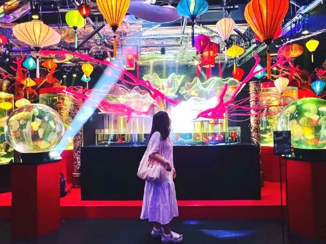 東京観光　おすすめスポット　女子旅　「アク和リウムGA☆KYO」