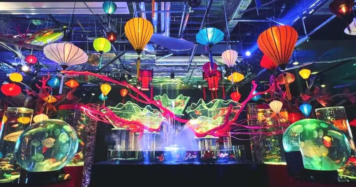 東京観光 大人女子｜おすすめの一人旅・穴場・デート・おしゃれスポット＆アクティビティ