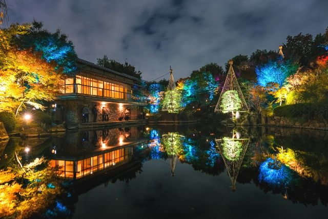 豊島区立目白庭園　紅葉とライトアップ