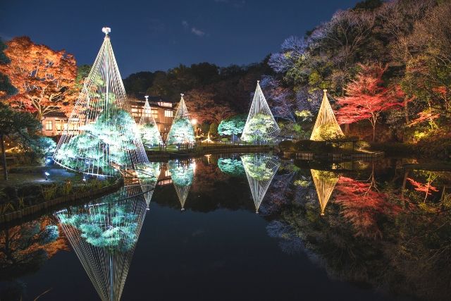 文京区立肥後細川庭園　紅葉　ライトアップ