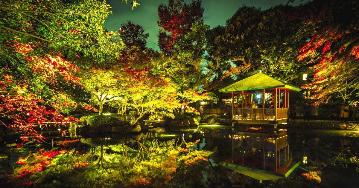 When will the autumn leaves in Tokyo be illuminated? [2024] Images of hidden gems and recommended gardens