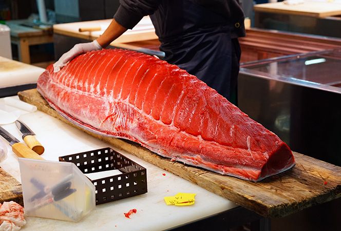 Tokyo 1 night 2 day model course Standard sightseeing Popular spot Toyosu market Tuna butchering A place where wholesalers and other businesses that distribute fresh foods conduct business transactions