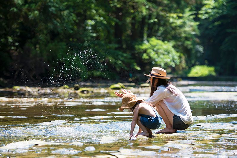 Parents and children enjoying playing in the river Summer vacation