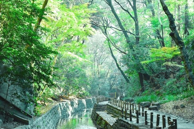 東京夏季隱藏的瑰寶旅遊勝地：轟谷