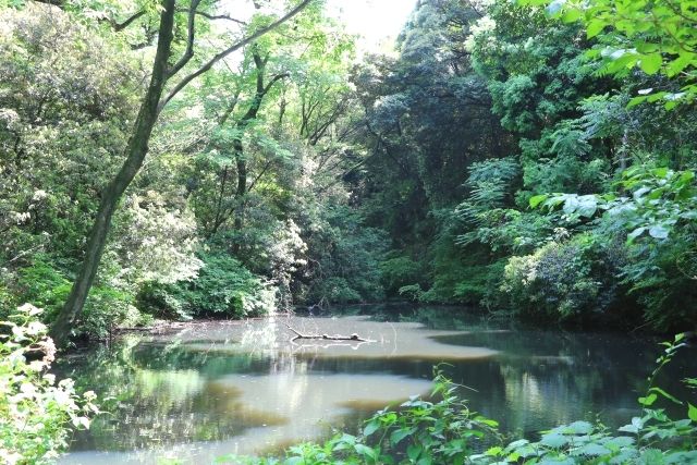 国立科学博物館附属自然教育園