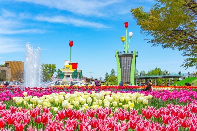 Toyama/Tonami Tulip Park