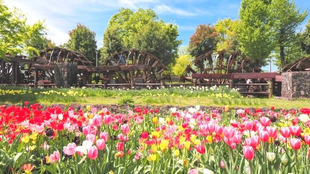 Five pumping water turbines installed in Tonami Tulip Park