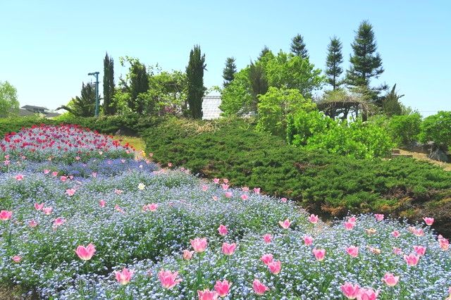 Elega Garden in Toyama/Tonami