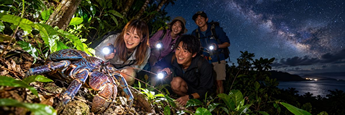 ナイトツアー