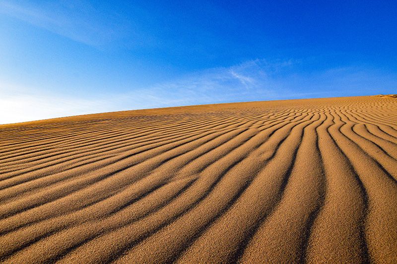 鳥取砂丘の観光マップ　モデルルート　おすすめスポット　山陰海岸国立公園　天然記念物　特別保護地区　山陰海岸ジオパーク　波状のしま模様をした風紋　砂のさざ波　秋