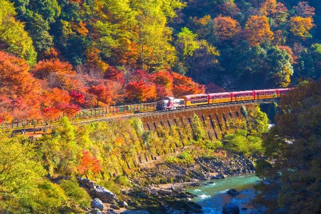 Kansai/Kyoto Autumn leaves Sagano Scenic Train