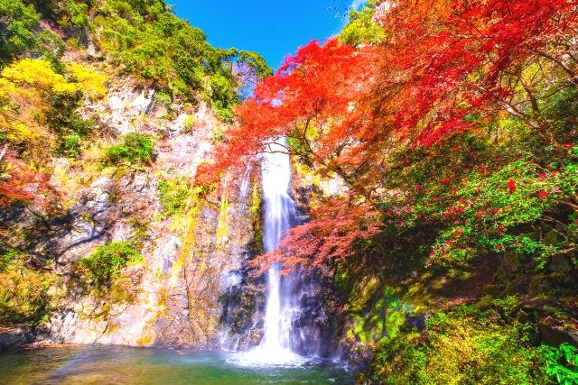 Minoh Falls: A great place to see autumn leaves in the Kansai region of Osaka