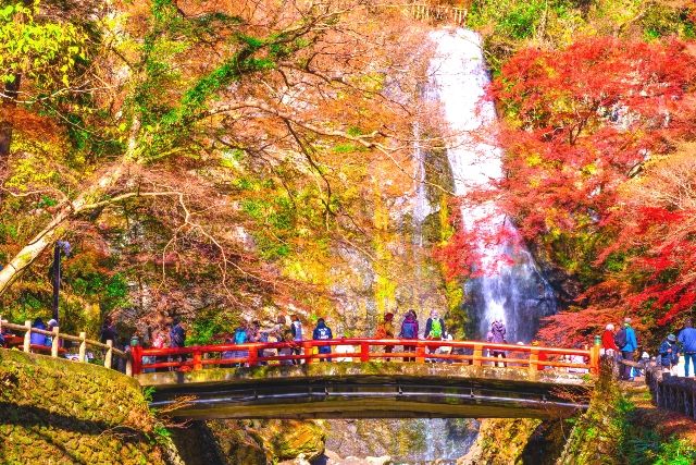 Kansai, Osaka Minoh Falls and Autumn Leaves Autumn