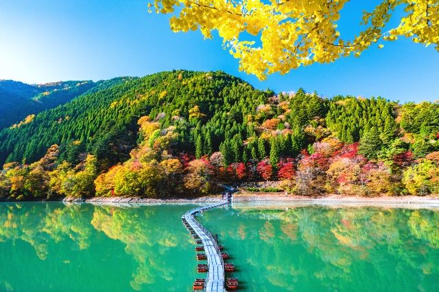 Autumn leaves at the Drum Can Bridge in Okutama, Tokyo