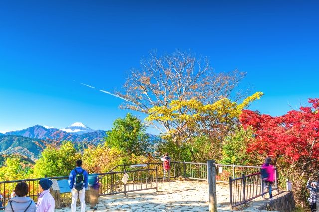 Tokyo, Mount Takao, Autumn leaves, summit