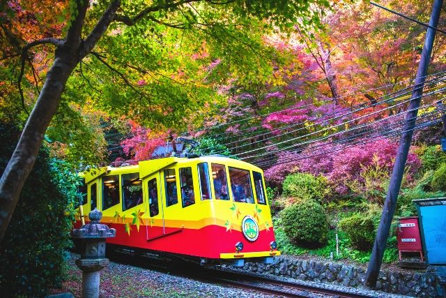 Tokyo, Mount Takao, Autumn leaves, Cable car