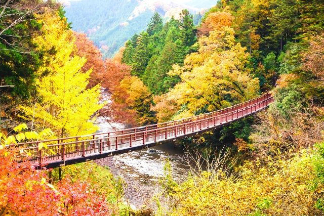 Tokyo, Akigawa Valley, Autumn leaves, Ishifune Bridge