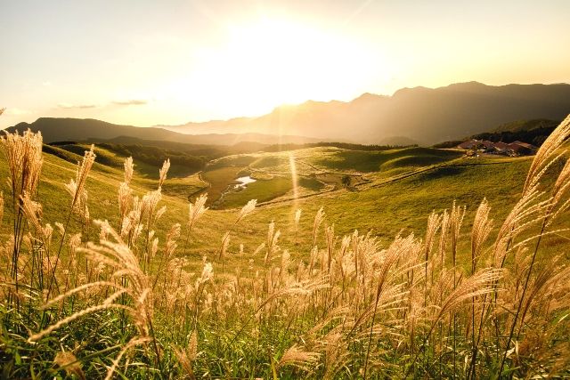 Kansai Soni Plateau Autumn Japanese pampas grass autumn leaves spot