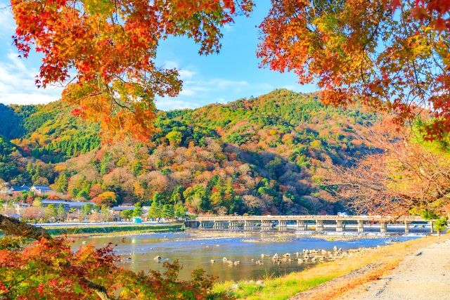Kansai/Kyoto Arashiyama Togetsukyo Bridge Autumn leaves
