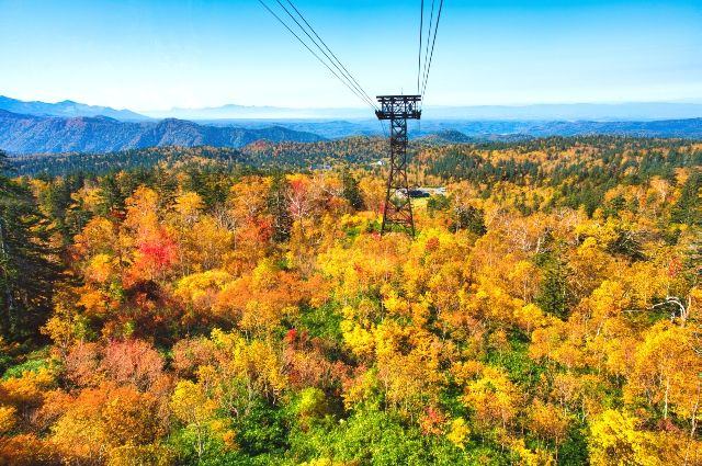 9月　旅行　おすすめ　北海道　大雪山　紅葉