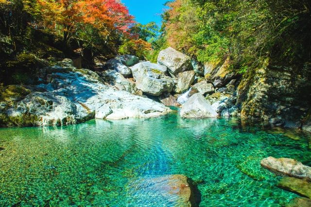 9月旅行　おすすめ　高知　仁淀川