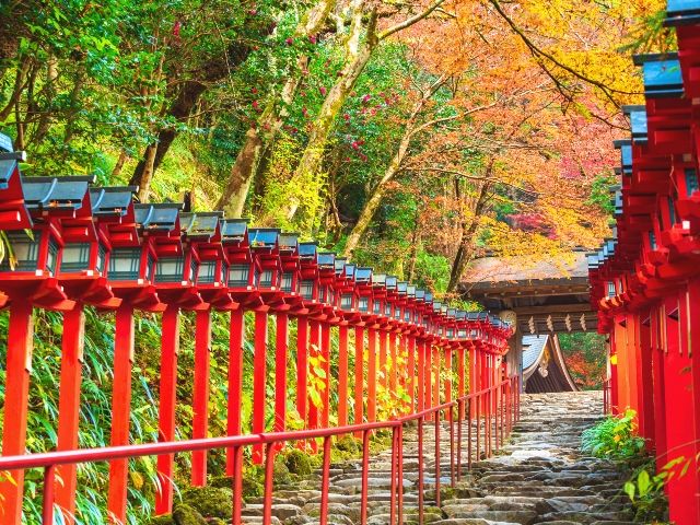 9月旅行　おすすめ　京都　貴船神社