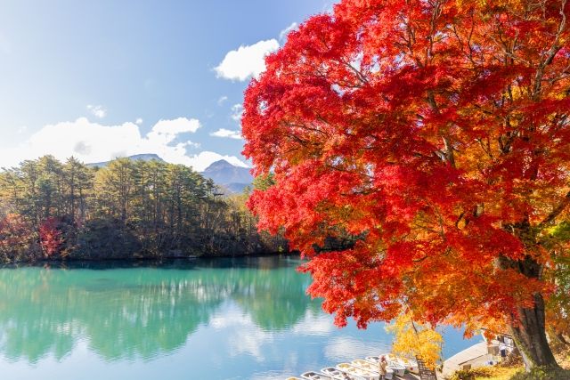 福島・裏磐梯高原の湖と紅葉した木々