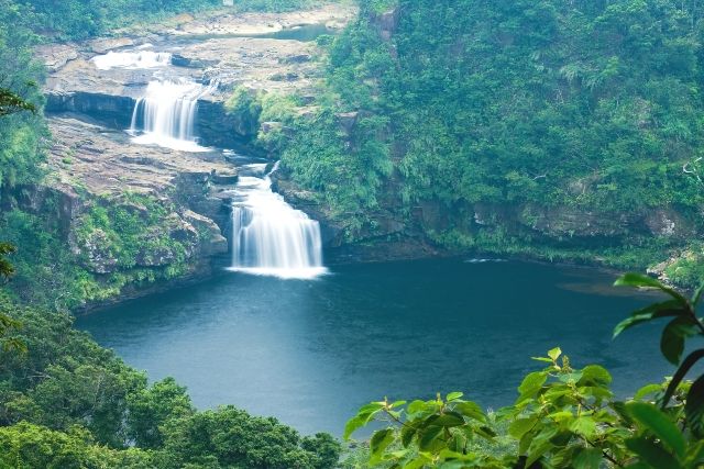 เกาะ Iriomote แม่น้ำ Urauchi "น้ำตก Mariyudu"