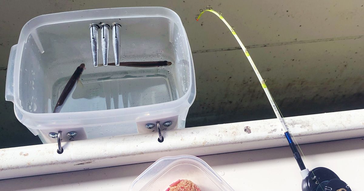 山中湖・ワカサギ釣り体験レポート｜ボートハウスメインの画像