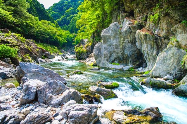 Tokyo Okutama Nature Weekend outing spot