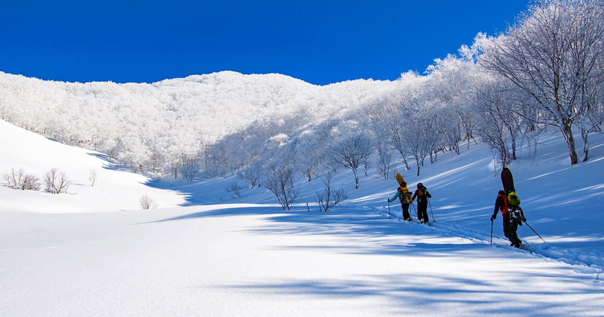 winter sports 人気ランキング 一覧の画像