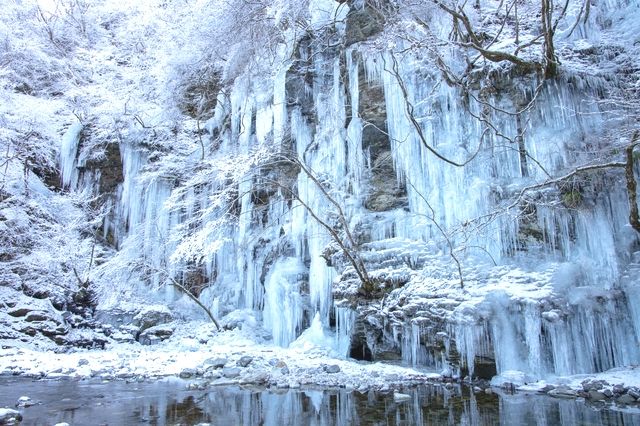 埼玉縣奧秩父市的御笠冰柱（Misotsuchi Icicle）