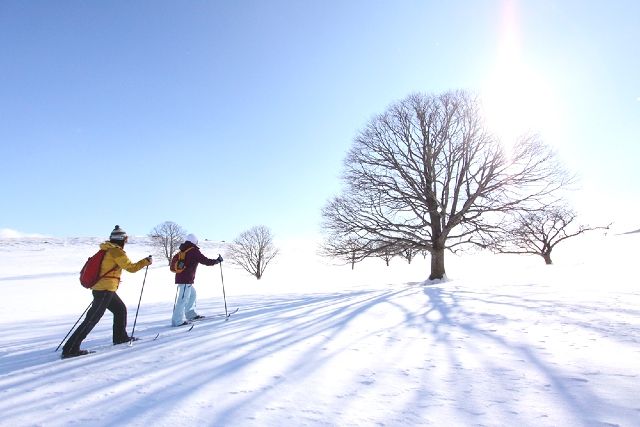 Winter Sports　Cross-country skiingを楽しむ女性