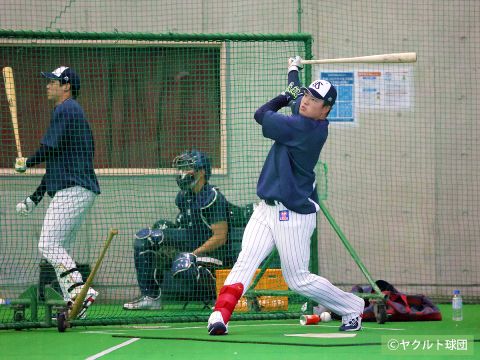 試合前に開催：東京ヤクルトスワローズ選手の練習見学ツアー（約30分）