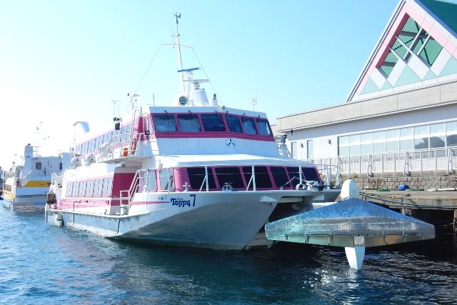 Kagoshima Main Port South Pier Passenger Terminal Tanegashima Yaku High Speed Ferry Toppy & Rocket