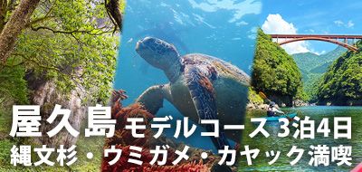屋久島観光モデルコース3泊4日｜縄文杉・ウミガメ・カヤックを満喫！