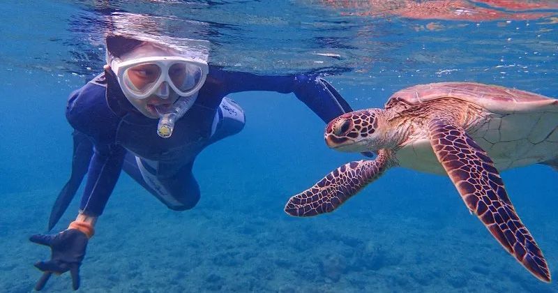 屋久島の海はきれい？人気ビーチ・海水浴場とおすすめアクティビティ