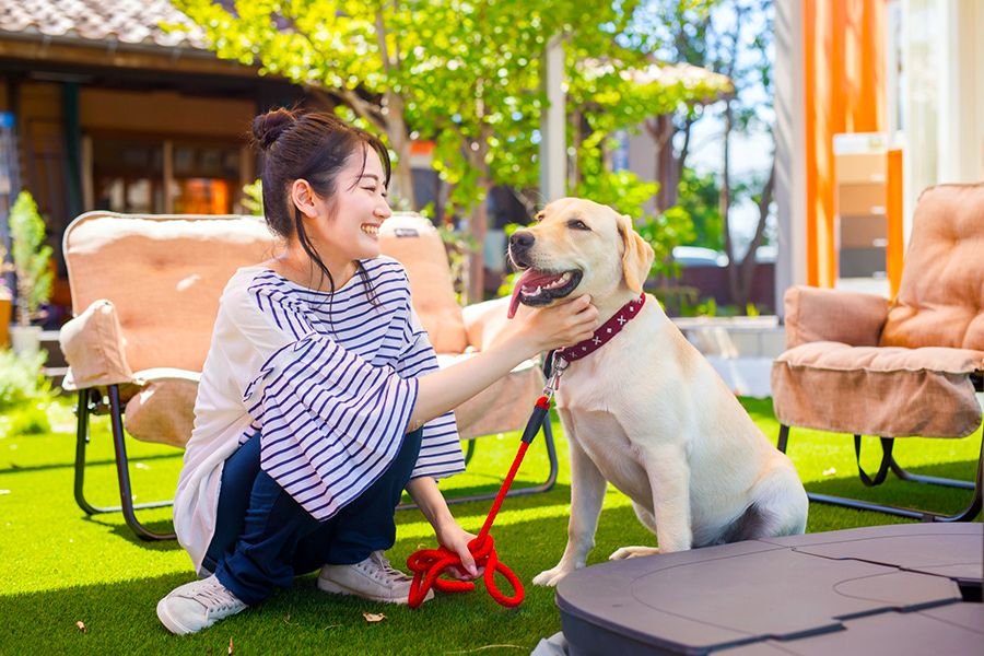 ยามานาชิ รอบทะเลสาบยามานากะ เที่ยวชมกับสุนัข จุดรับประทานอาหารกลางวันที่คุณสามารถทานอาหารกับสุนัขได้ อารมณ์ดี รูปสุนัข