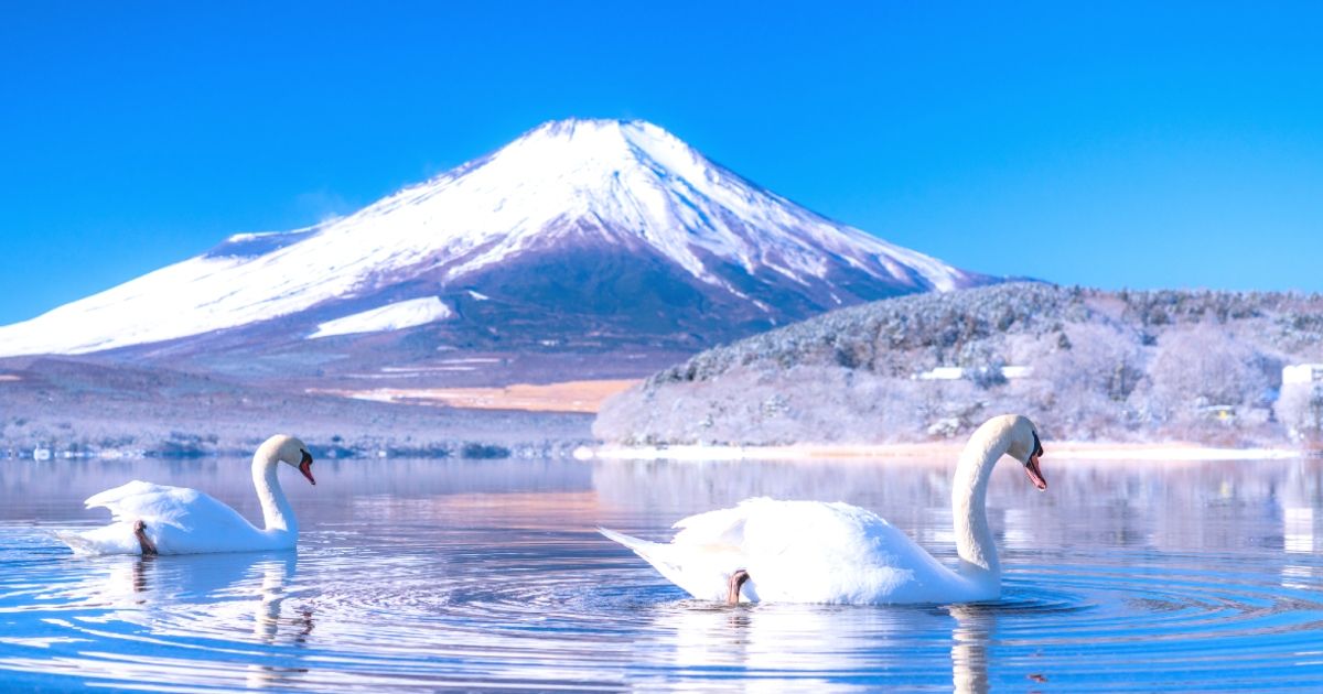 山中湖 带孩子一起旅行的推荐景点 路线示范图