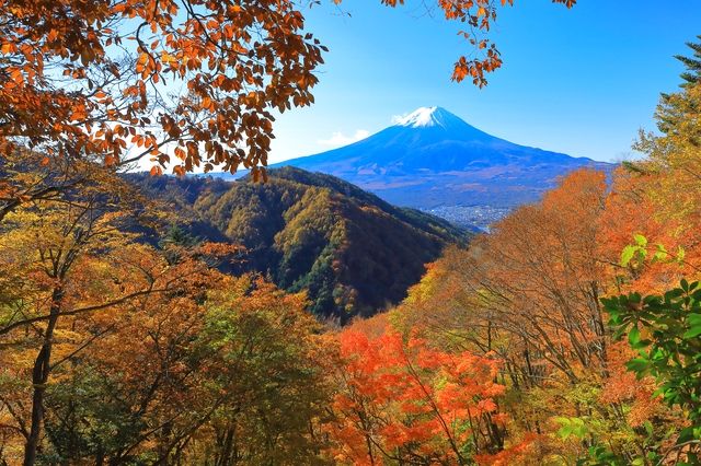 天下茶屋から眺める秋の紅葉と富士山