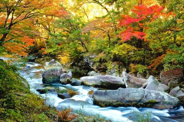 山梨县县升仙峡的溪流和秋叶