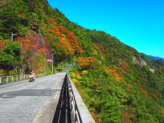 山梨・秋の大菩薩ライン