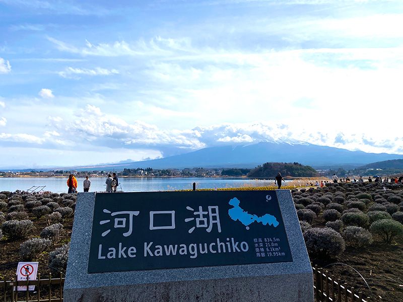 山梨县观光示范路线 一日车程的热门景点 大石公园 富士山全景的风景区 河口湖北岸 沿着港北展望线