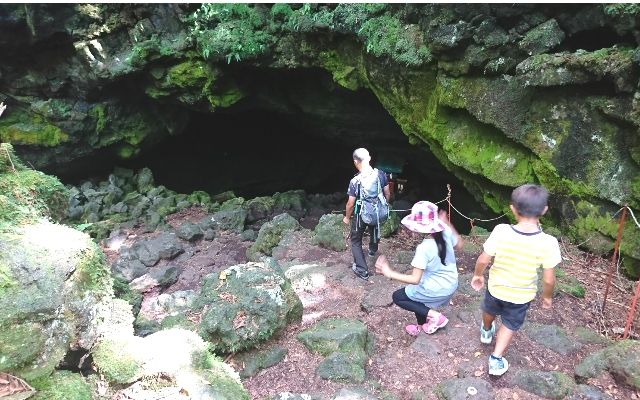 Nogawa Nature School Aokigahara Jukai Trekking & Cave Tour Family enjoying the tour