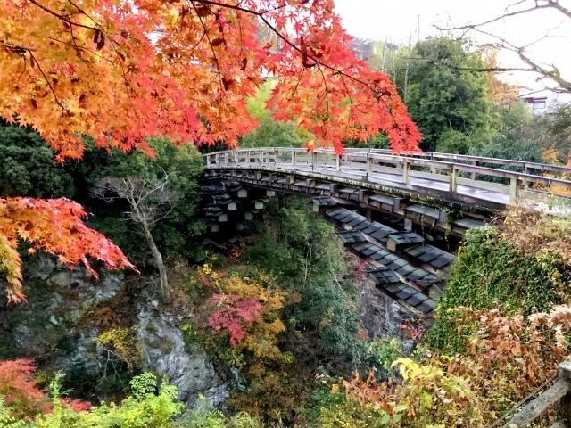 甲斐の猿橋