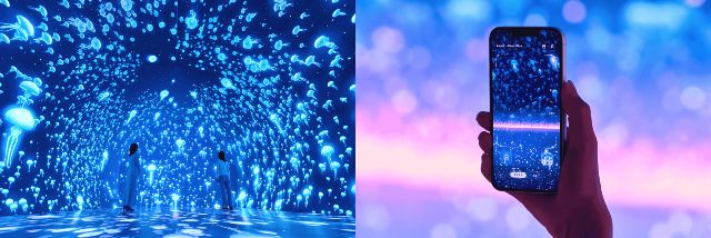 横浜　雨の日　デートスポット　おすすめ　「ワンダリア横浜　Supported　by　Umios」