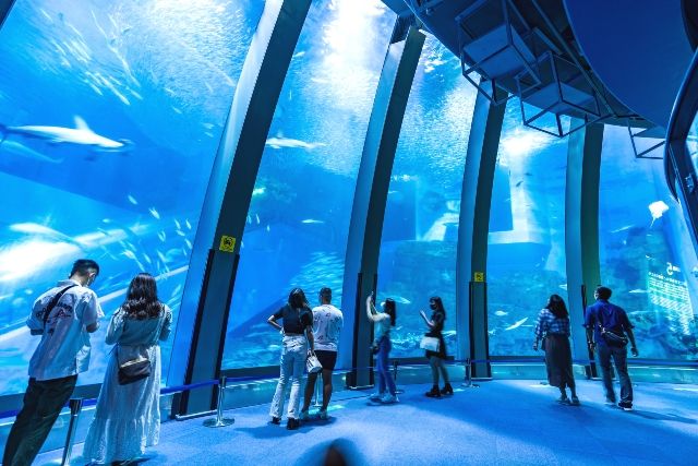 横浜　デートスポット　八景島シーパラダイス