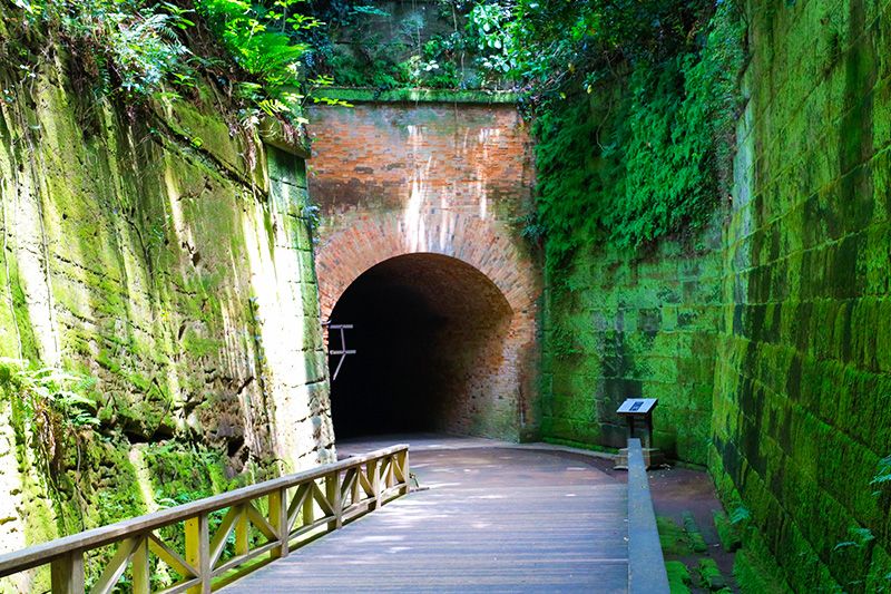 요코스카 관광 모델 코스 사루시마 요코스카 앞바다 무인도 터널 페리 도쿄만에 떠오르는 최대의 자연섬 군사 요새 군사 유구 역사의 땅 벽돌 구조의 유구군 포토 제닉